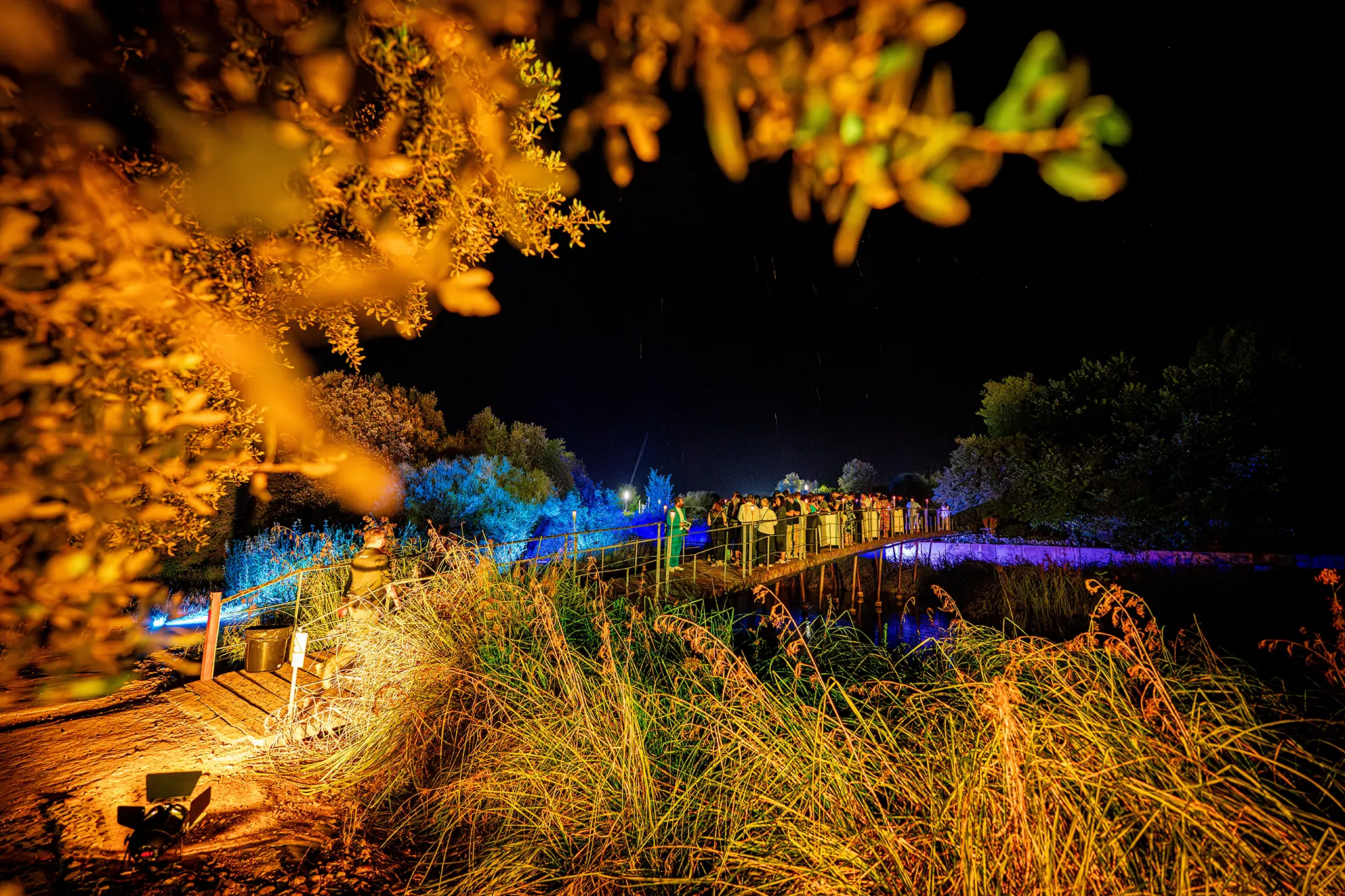 Jardin_botanico2025-004