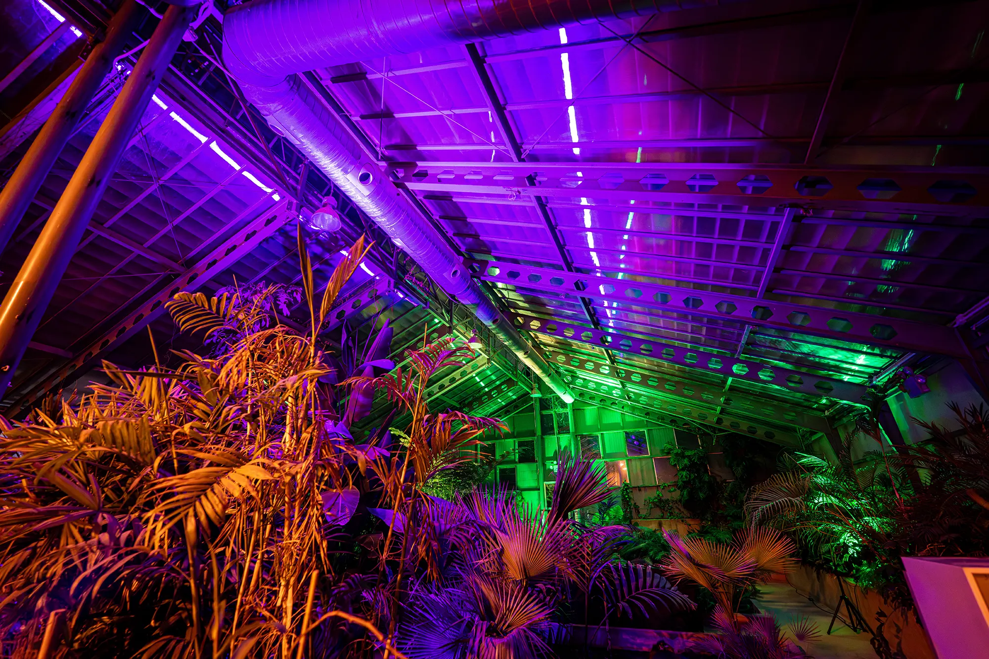 Jardin_botanico2025-005