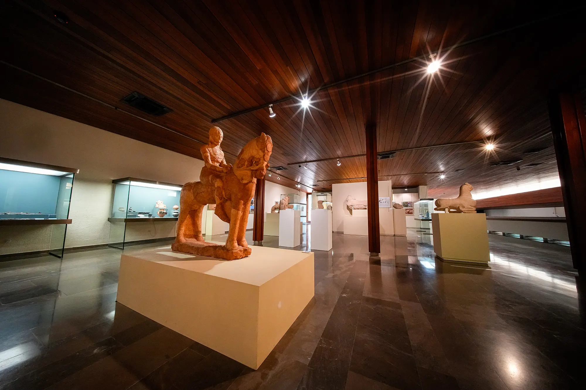 MUSEO_ARQUEOLOGICO-Albacete-006