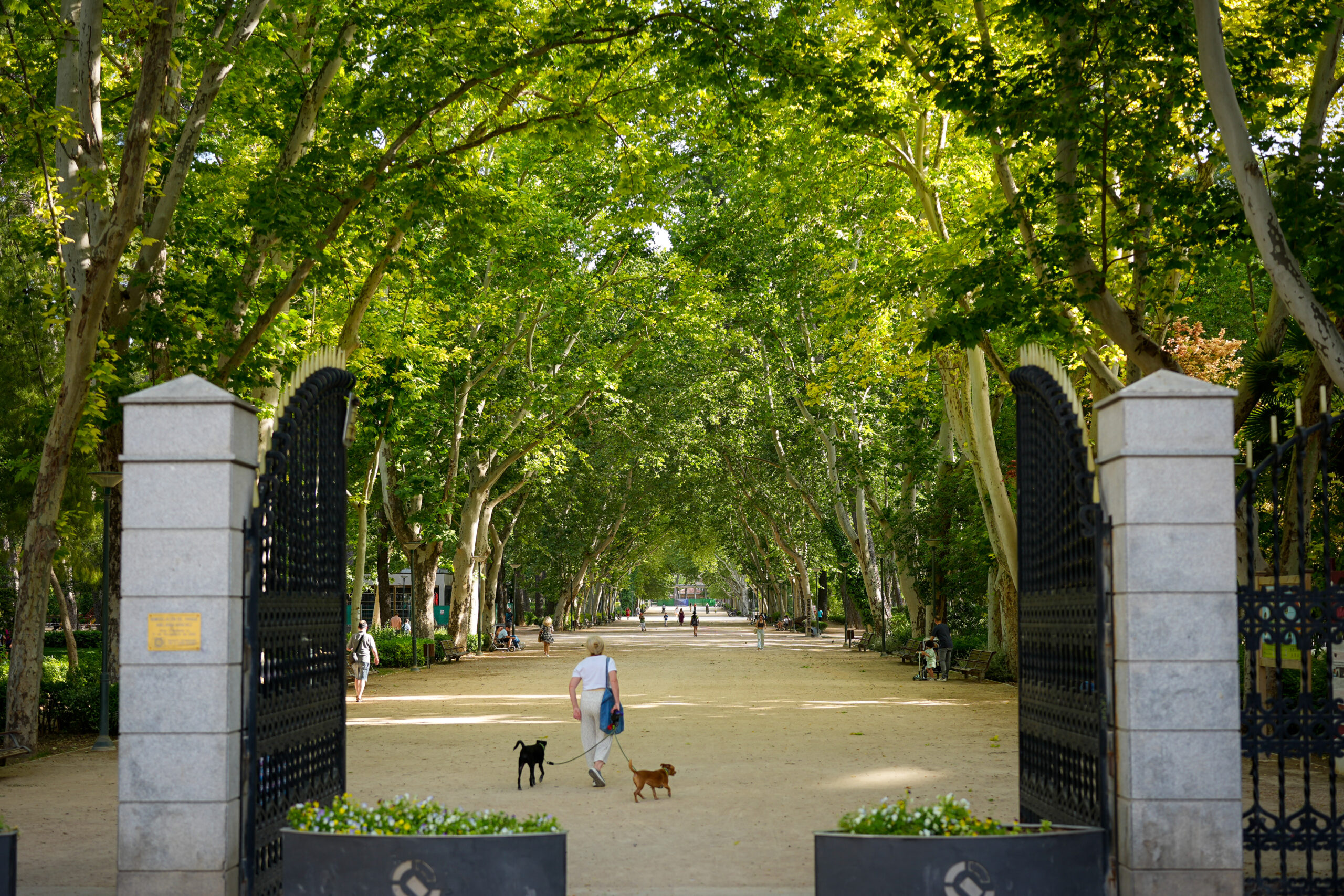 PARQUE_ABELARDO_SANCHEZ-1