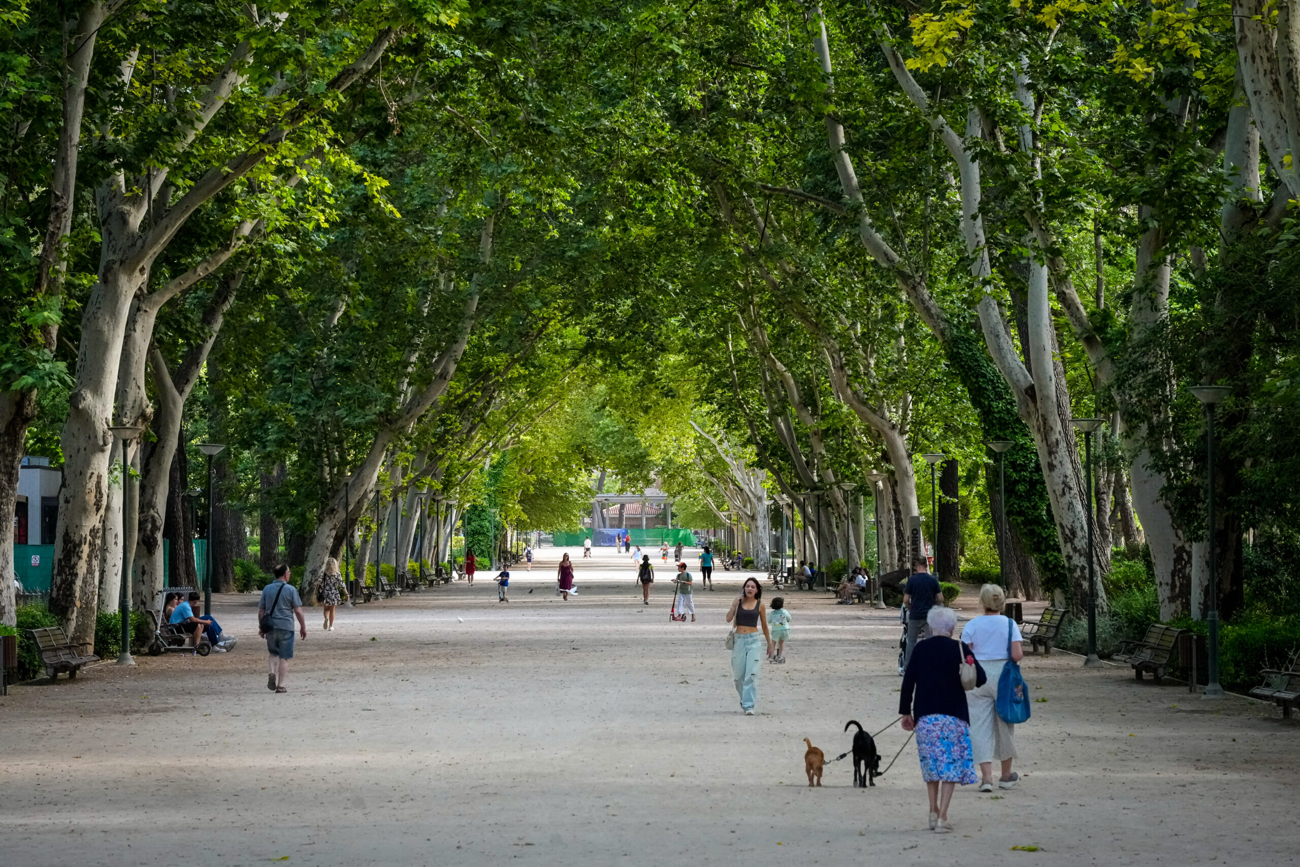 PARQUE_ABELARDO_SANCHEZ-5
